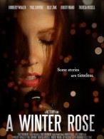 A Winter Rose